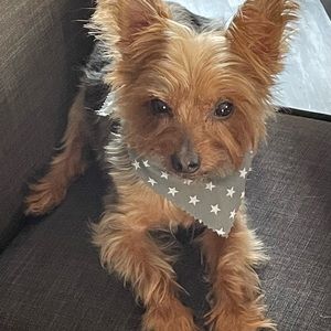 Meet your Posher, Marisa